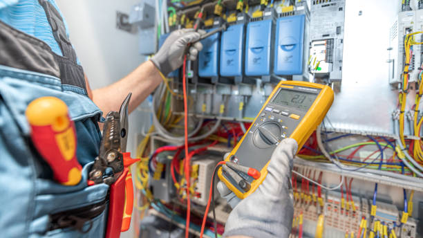 Best Electric Panel Repair  in Liberty City, TX